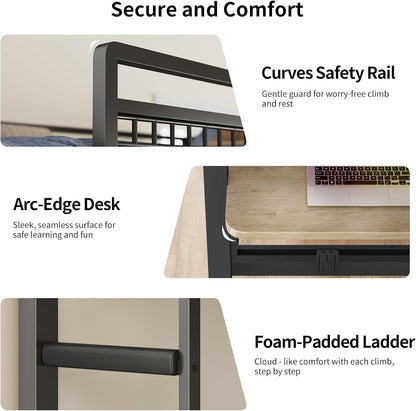 HAUOMS Bed Frame Greige Bunk Bed with Desk Greige
