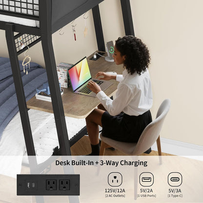HAUOMS Bed Frame Greige Bunk Bed with Desk Greige