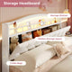 HAUOMS Bed Frame HAUOMS Full Size Bed Frame with LED Lights Princess Velvet Upholstered Platform Bedframe with Charging Station and Guardrail